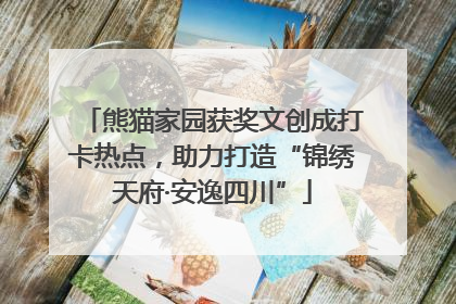 熊猫家园获奖文创成打卡热点，助力打造“锦绣天府·安逸四川”