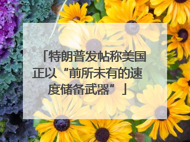 特朗普发帖称美国正以“前所未有的速度储备武器”