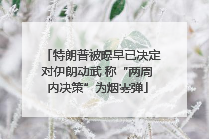 特朗普被曝早已决定对伊朗动武 称“两周内决策”为烟雾弹