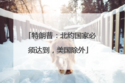 特朗普：北约国家必须达到，美国除外