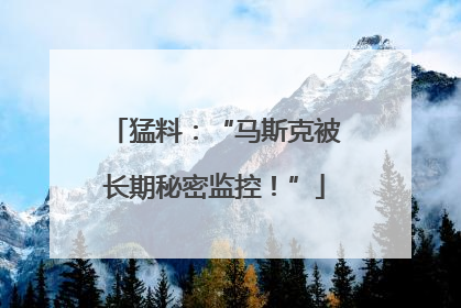 猛料：“马斯克被长期秘密监控！”