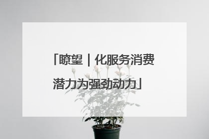 瞭望｜化服务消费潜力为强劲动力