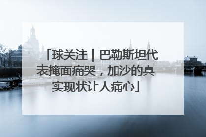球关注｜巴勒斯坦代表掩面痛哭，加沙的真实现状让人痛心