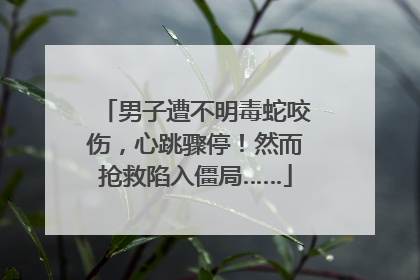 男子遭不明毒蛇咬伤，心跳骤停！然而抢救陷入僵局……