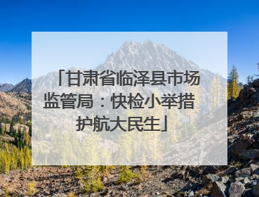 甘肃省临泽县市场监管局：快检小举措 护航大民生