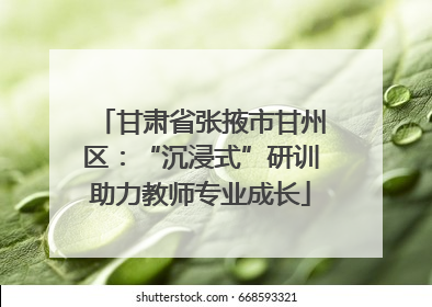 甘肃省张掖市甘州区：“沉浸式”研训助力教师专业成长