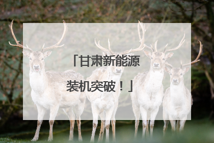 甘肃新能源装机突破！