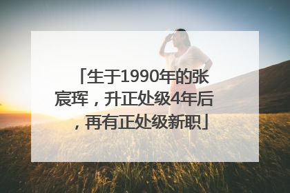 生于1990年的张宸珲，升正处级4年后，再有正处级新职