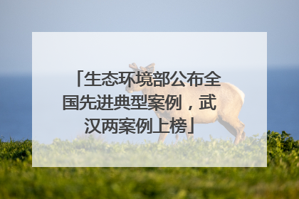 生态环境部公布全国先进典型案例，武汉两案例上榜
