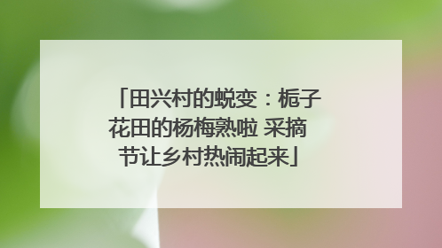 田兴村的蜕变：栀子花田的杨梅熟啦 采摘节让乡村热闹起来