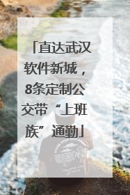 直达武汉软件新城，8条定制公交带“上班族”通勤