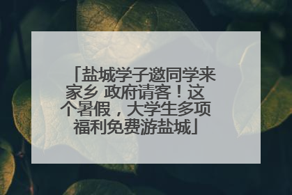 盐城学子邀同学来家乡 政府请客！这个暑假，大学生多项福利免费游盐城