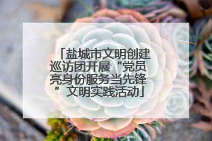盐城市文明创建巡访团开展“党员亮身份服务当先锋”文明实践活动