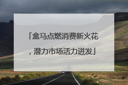 盒马点燃消费新火花，潜力市场活力迸发