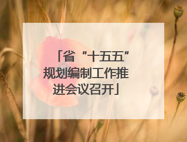省“十五五”规划编制工作推进会议召开
