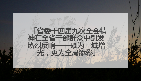 省委十四届九次全会精神在全省干部群众中引发热烈反响——既为一域增光，更为全局添彩