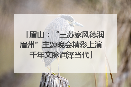 眉山：“三苏家风德润眉州”主题晚会精彩上演千年文脉润泽当代