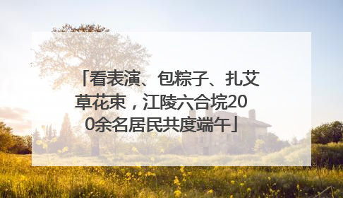 看表演、包粽子、扎艾草花束，江陵六合垸200余名居民共度端午