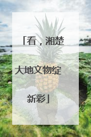 看，湘楚大地文物绽新彩