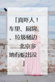 真吓人！车里、厨房、垃圾桶边……北京多地有蛇出没