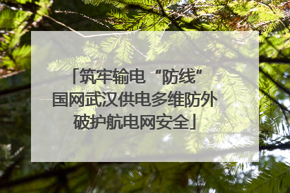 筑牢输电“防线” 国网武汉供电多维防外破护航电网安全