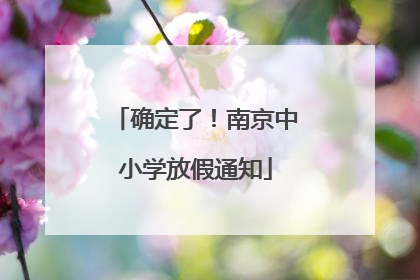 确定了！南京中小学放假通知