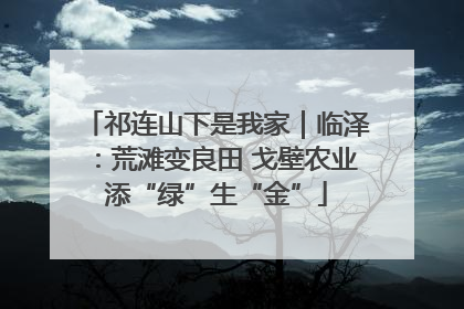 祁连山下是我家｜临泽：荒滩变良田 戈壁农业添“绿”生“金”