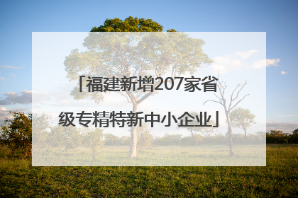 福建新增207家省级专精特新中小企业