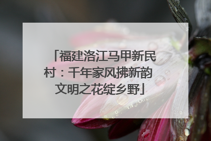福建洛江马甲新民村:千年家风拂新韵 文明之花绽乡野