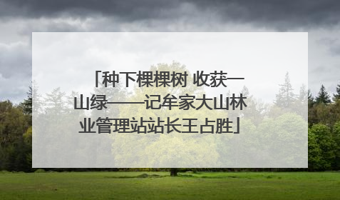 种下棵棵树 收获一山绿——记牟家大山林业管理站站长王占胜