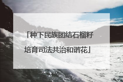 种下民族团结石榴籽 培育司法共治和谐花