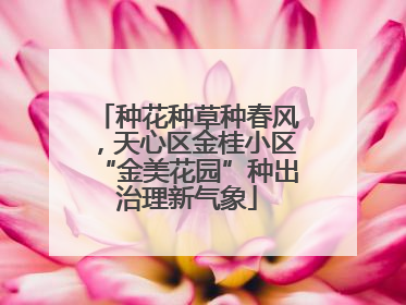 种花种草种春风，天心区金桂小区“金美花园”种出治理新气象