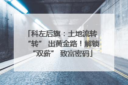 科左后旗：土地流转 “转” 出黄金路！解锁 “双薪” 致富密码