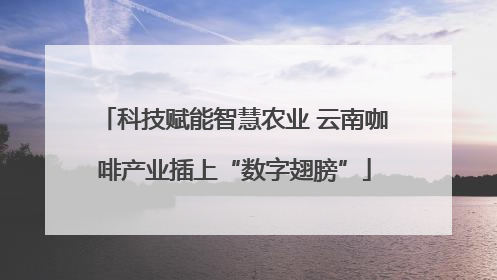科技赋能智慧农业 云南咖啡产业插上“数字翅膀”