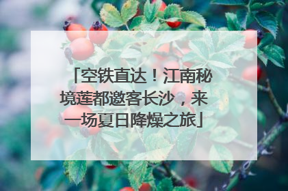 空铁直达！江南秘境莲都邀客长沙，来一场夏日降燥之旅