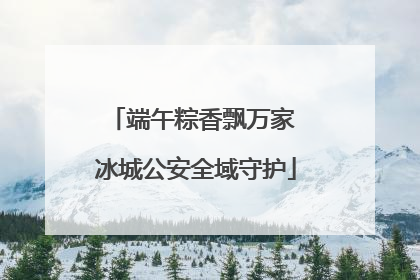 端午粽香飘万家 冰城公安全域守护