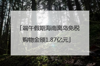 端午假期海南离岛免税购物金额1.87亿元