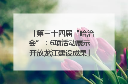 第三十四届“哈洽会”：6项活动展示开放龙江建设成果