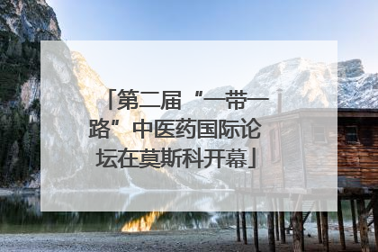 第二届“一带一路”中医药国际论坛在莫斯科开幕
