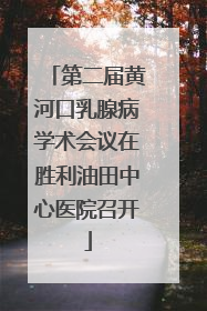 第二届黄河口乳腺病学术会议在胜利油田中心医院召开