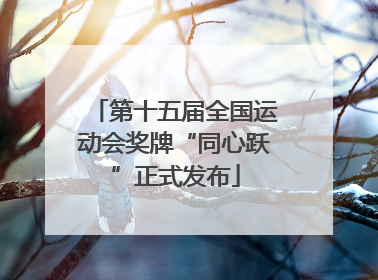 第十五届全国运动会奖牌“同心跃”正式发布