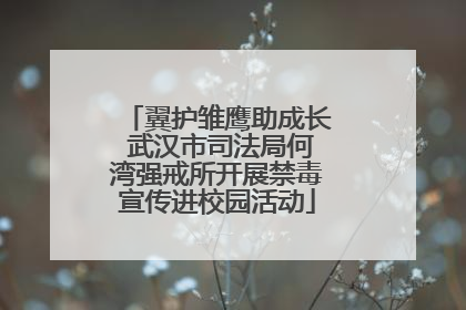 翼护雏鹰助成长 武汉市司法局何湾强戒所开展禁毒宣传进校园活动