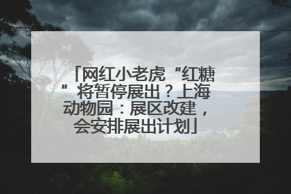 网红小老虎“红糖”将暂停展出？上海动物园：展区改建，会安排展出计划