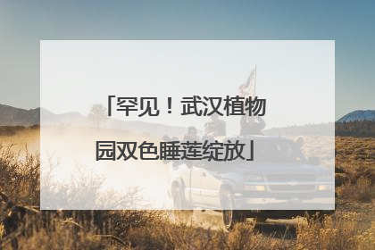 罕见！武汉植物园双色睡莲绽放
