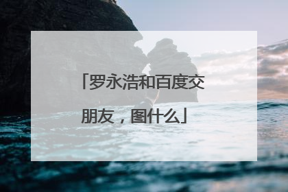 罗永浩和百度交朋友，图什么