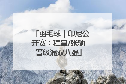 羽毛球｜印尼公开赛：程星/张驰晋级混双八强