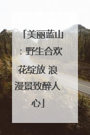 美丽蓝山：野生合欢花绽放 浪漫景致醉人心