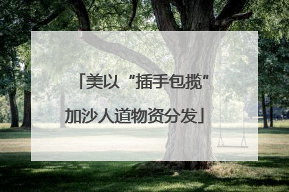 美以“插手包揽”加沙人道物资分发