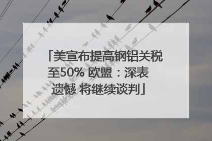 美宣布提高钢铝关税至50% 欧盟：深表遗憾 将继续谈判