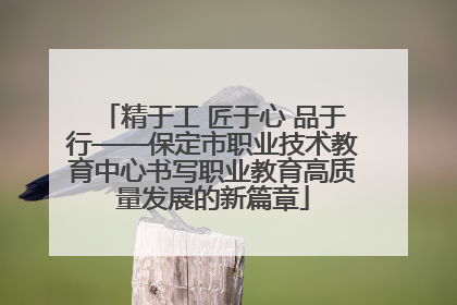 精于工 匠于心 品于行——保定市职业技术教育中心书写职业教育高质量发展的新篇章